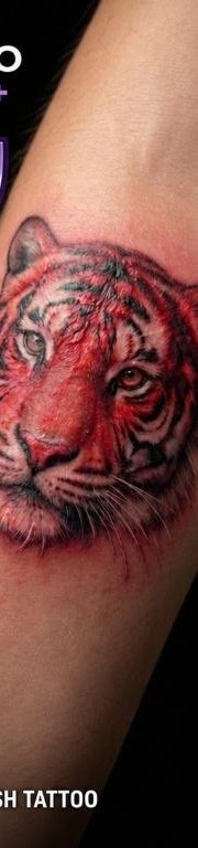 Fresh Skin